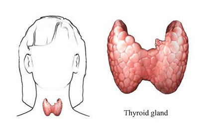 Ormoni tiroide