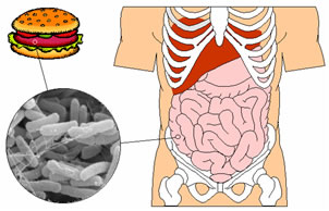 cause escherichia coli